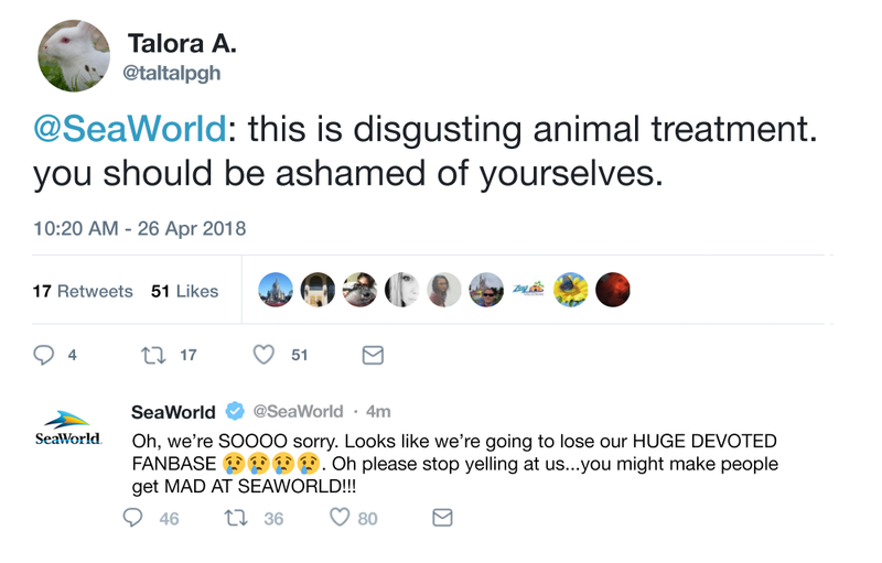 Illustration for article titled One For The Road: SeaWorld Has Realized People Will Be Mad At It No Matter What It Does So It’s Just Going To See How Fat It Can Make A Dolphin Before It Goes Bankrupt